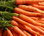 carrots